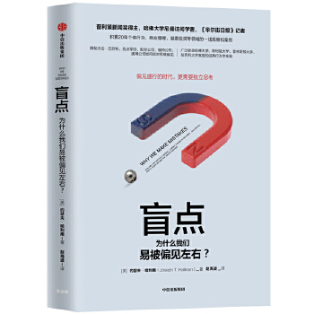 盲点(pdf+txt+epub+azw3+mobi电子书在线阅读下载)