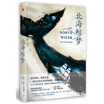 北海鲸梦(pdf+txt+epub+azw3+mobi电子书在线阅读下载)