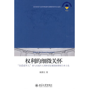 权利的细微关怀-“合适成年人”参与未成年人刑事诉讼制度的移植与本土化(pdf+txt+epub+azw3+mobi电子书在线阅读下载)