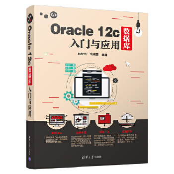 12c数据库入门与应用(pdf+txt+epub+azw3+mobi电子书在线阅读下载)