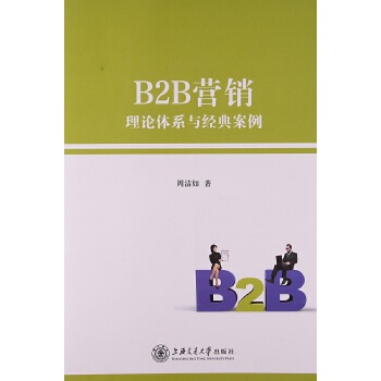 B2B营销：理论体系与经典案例(pdf+txt+epub+azw3+mobi电子书在线阅读下载)