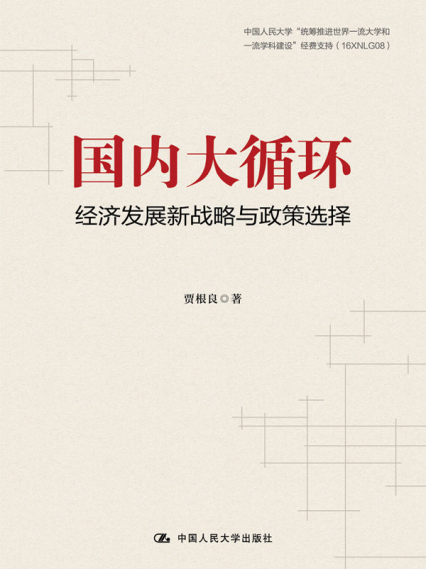 国内大循环：经济发展新战略与政策选择「pdf-epub-mobi-txt-azw3」