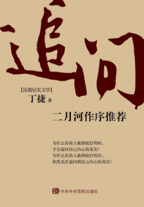 《追问(媲美人民的名义的现实题材反腐作品)》丁捷（作者）-epub+mobi+azw3