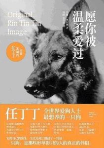 《愿你被温柔爱过》[美]苏珊·奥尔琳（作者）-epub+mobi+azw3