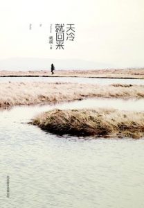 《天冷就回来》姚瑶（作者）-epub+mobi+azw3