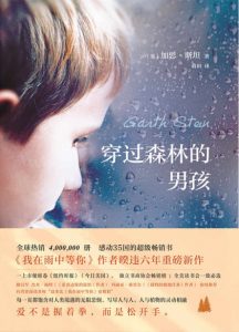 《穿过森林的男孩》[美]加思·斯坦（作者）-epub+mobi+azw3