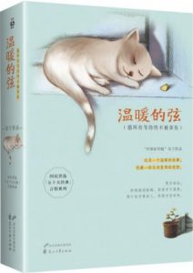 《温暖的弦：愿所有等待终不被辜负(套装共2册)》安宁（作者）-epub+mobi+azw3