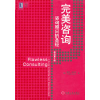 完美咨询（pdf+epub+mobi+txt+azw3）