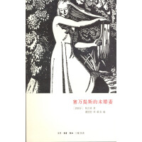 塞万提斯的未婚妻（pdf+epub+mobi+txt+azw3）