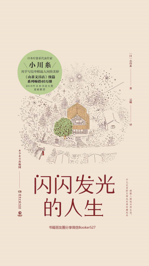 闪闪发光的人生「pdf-epub-mobi-txt-azw3」