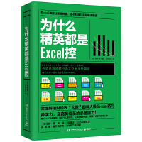 为什么精英都是Excel控（pdf+epub+mobi+txt+azw3）