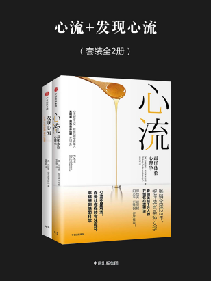 心流+发现心流「pdf-epub-mobi-txt-azw3」