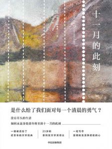 《十一月的此刻》[美]约瑟芬·约翰逊（作者）-epub+mobi+azw3