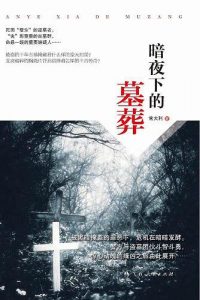 《暗夜下的墓葬》常大利（作者）-epub+mobi+azw3