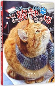 《一只名叫鲍勃的流浪猫》詹姆斯・鲍文-epub+mobi