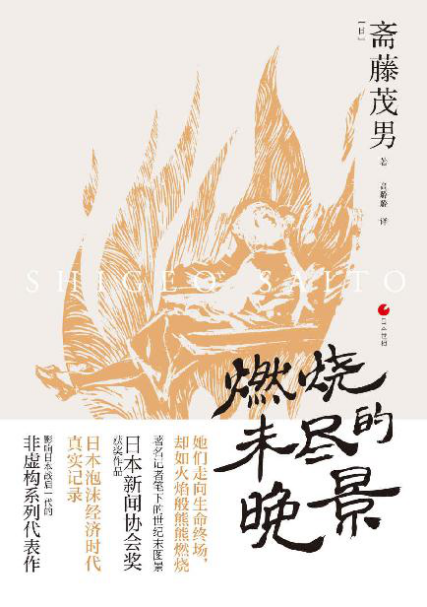 燃烧未尽的晚景「pdf-epub-mobi-txt-azw3」