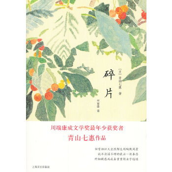 碎片(pdf+txt+epub+azw3+mobi电子书在线阅读下载)