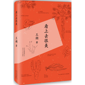 看上去很美(pdf+txt+epub+azw3+mobi电子书在线阅读下载)