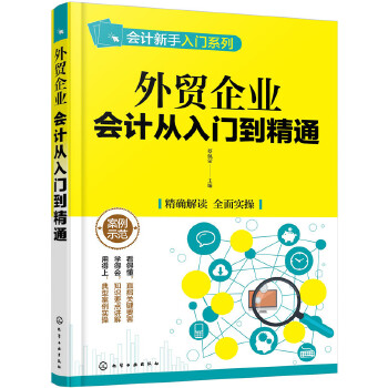 外贸企业会计从入门到精通(pdf+txt+epub+azw3+mobi电子书在线阅读下载)