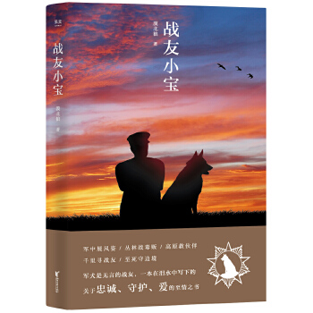 战友小宝(pdf+txt+epub+azw3+mobi电子书在线阅读下载)