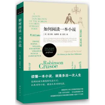 如何阅读一本小说(pdf+txt+epub+azw3+mobi电子书在线阅读下载)