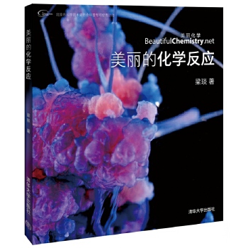 美丽的化学反应(pdf+txt+epub+azw3+mobi电子书在线阅读下载)