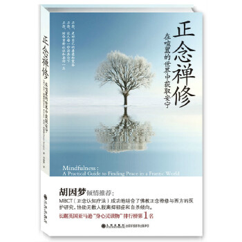 正念禅修(pdf+txt+epub+azw3+mobi电子书在线阅读下载)