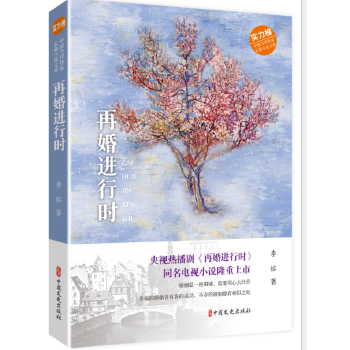 再婚进行时(pdf+txt+epub+azw3+mobi电子书在线阅读下载)