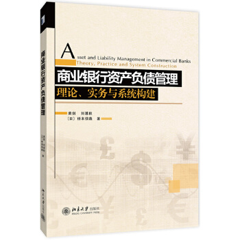 理论实务与系统构建：商业银行资产负债管理(pdf+txt+epub+azw3+mobi电子书在线阅读下载)