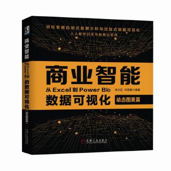 商业智能:从Excel到Power-BI的数据可视化(pdf+txt+epub+azw3+mobi电子书在线阅读下载)