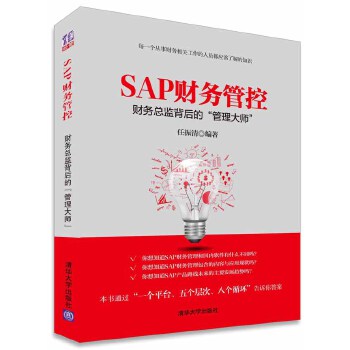 SAP财务管控(pdf+txt+epub+azw3+mobi电子书在线阅读下载)