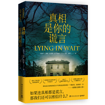 真相是你的谎言(pdf+txt+epub+azw3+mobi电子书在线阅读下载)