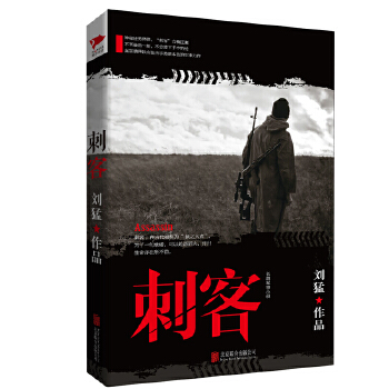 刺客(pdf+txt+epub+azw3+mobi电子书在线阅读下载)