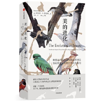 美的进化(pdf+txt+epub+azw3+mobi电子书在线阅读下载)