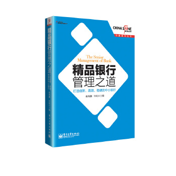 精品银行管理之道：打造创新、高效、稳健的中小银行(pdf+txt+epub+azw3+mobi电子书在线阅读下载)