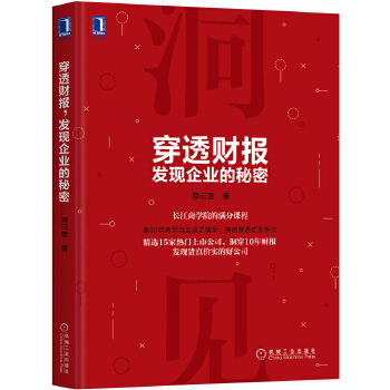 穿透财报(pdf+txt+epub+azw3+mobi电子书在线阅读下载)