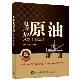 电脑炒原油从新手到高手(pdf+txt+epub+azw3+mobi电子书在线阅读下载)