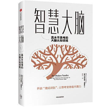 智慧大脑:高水平思考的大脑认知训练(pdf+txt+epub+azw3+mobi电子书在线阅读下载)