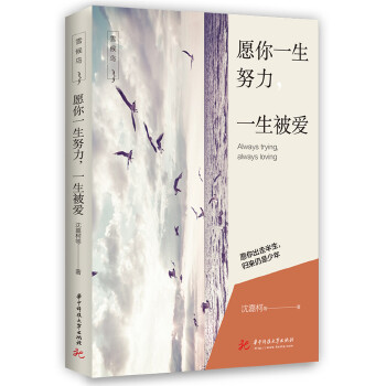 愿你一生努力，一生被爱(pdf+txt+epub+azw3+mobi电子书在线阅读下载)