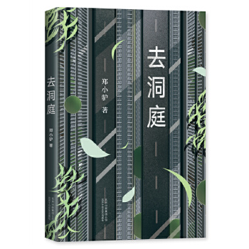 去洞庭(pdf+txt+epub+azw3+mobi电子书在线阅读下载)