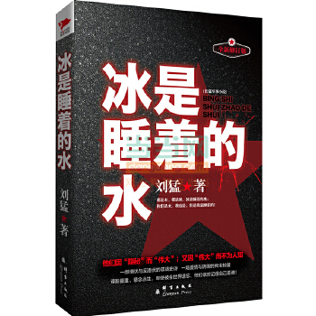 冰是睡着的水(pdf+txt+epub+azw3+mobi电子书在线阅读下载)