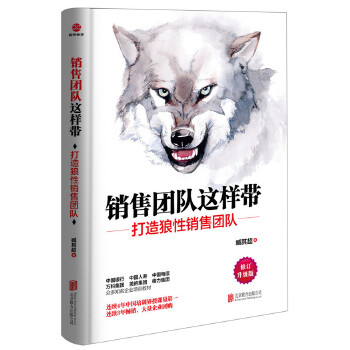 销售团队这样带(pdf+txt+epub+azw3+mobi电子书在线阅读下载)