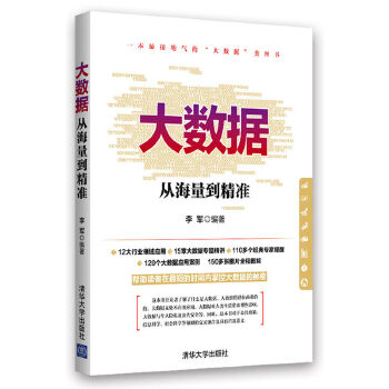 大数据：从海量到精准(pdf+txt+epub+azw3+mobi电子书在线阅读下载)