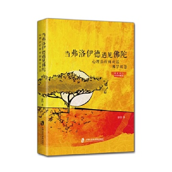 当弗洛伊德遇见佛陀：心理治疗师对话佛学智慧(pdf+txt+epub+azw3+mobi电子书在线阅读下载)