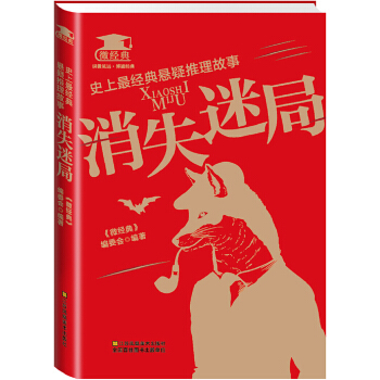 消失迷局(pdf+txt+epub+azw3+mobi电子书在线阅读下载)