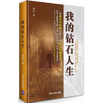 我的钻石人生(pdf+txt+epub+azw3+mobi电子书在线阅读下载)