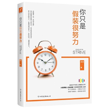 你只是假装很努力(pdf+txt+epub+azw3+mobi电子书在线阅读下载)