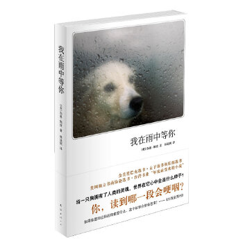 我在雨中等你(pdf+txt+epub+azw3+mobi电子书在线阅读下载)