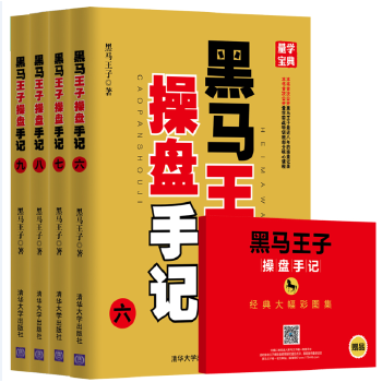 黑马王子操盘手记（6-9）(pdf+txt+epub+azw3+mobi电子书在线阅读下载)