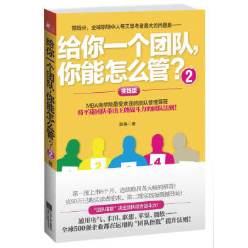 给你一个团队，你能怎么管？2(pdf+txt+epub+azw3+mobi电子书在线阅读下载)